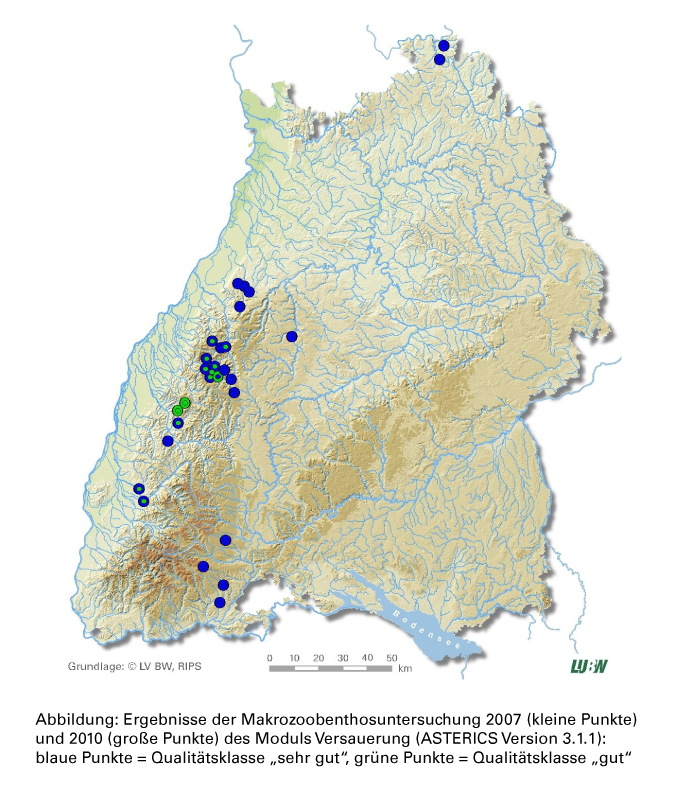 Gezeigt wird eine Karte Baden-Württembergs, in der die Ergebnisse der Makrozoobenthosuntersuchungen aus dem Jahr 2007 als kleine Punkte und 2010 als große Punkte eingetragen sind. Blaue Punkte stehen dabei für die Qualitätsklasse "sehr gut" und güne Punkte für die Klasse "gut". Die Untersuchungen wurden zumeist im Schwarzwald durchgeführt. Blaue und grüne Punkte halten sich in Etwa die Waage.
