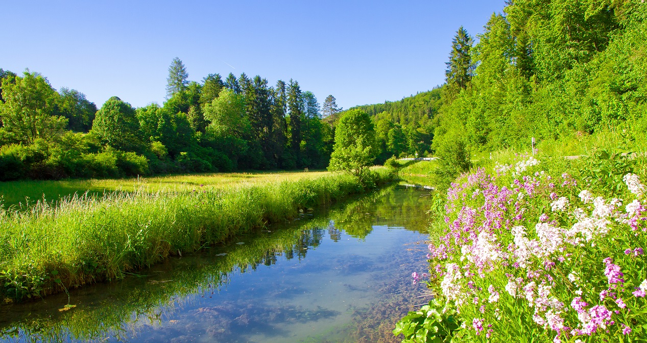 Fluss in grüner Sommerlandschaft mit wenig Beschattung.