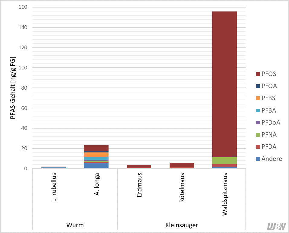 Balkendiagramm der PFAS-Gehalte in verschiedenen Regenwurm- und Kleinsäugerarten am Waldstandorte Kirchheim unter Teck. Die Regenwurmart Aporrectodea longa reichert mit 23 ng/g etwa 12-mal mehr PFAS an als die Regenwurmart Lumbricus rubellus. Die herbivore Erdmaus reichert 3 ng/g PFAS an, die überwiegend herbivore Rötelmaus 6 ng/g und die carnivore Waldspitzmaus 156 ng/g. Den größten Anteil macht dabei durchgehend die Perfluroctansulfonsäure aus.