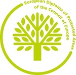 Logo Europadiplom
