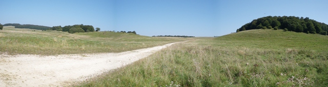 Biosphärengebiet Schwäbische Alb: Feldweg durch Wiesen des ehemaligen Truppenübungsplatzes und kleine Waldstücke im Hintergrund