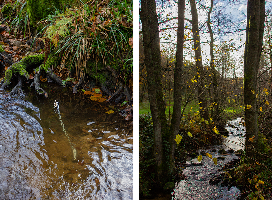 Der Temperaturlogger treibt im Fluss. Die Kette wurde danach noch mit Steinen beschwert. Rechts ist der Flussabschnitt der Alb zu sehen