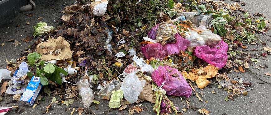 Verschiedene Fremdstoffe wie Plastiksäcke oder Milchkartons in gerade gesammelten Bioabfall  