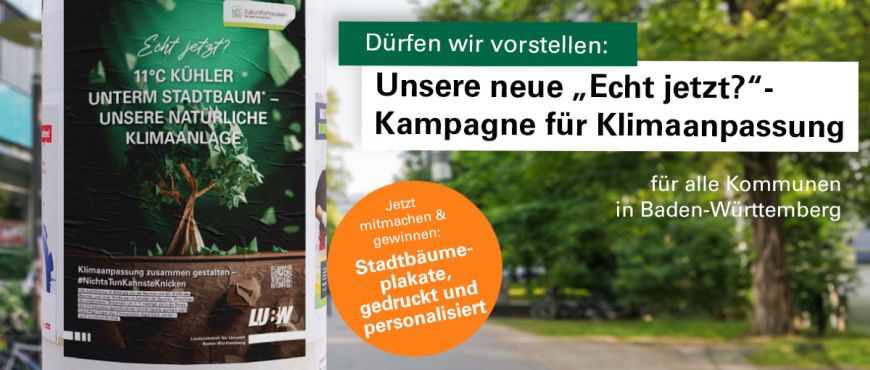  LUBW Plakat Stadtbäume an einer Litfaßsäule, rechts stehen Informationen über die Plakataktion. Diese finden Sie auch auf der verlinkten Seite. 