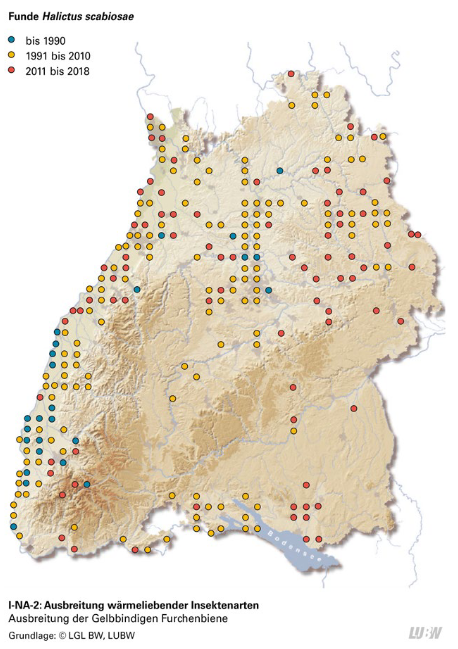 Karte Baden-Württembergs mit der Ausbreitung der Furchenbiene über die Zeiträume 1990 bis 2018.