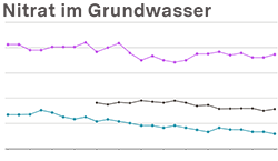 Vorschaubild Indikator Nitrat im Grundwasser