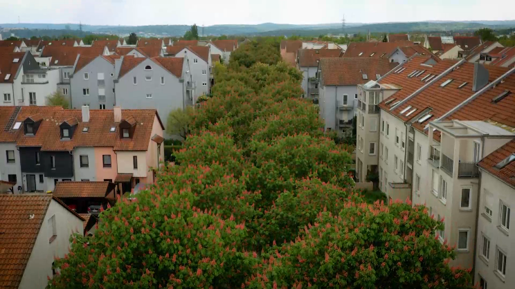 Wohngebiet in Kornwestheim mit Grünzug Wohngebiet in Kornwestheim mit Grünzug