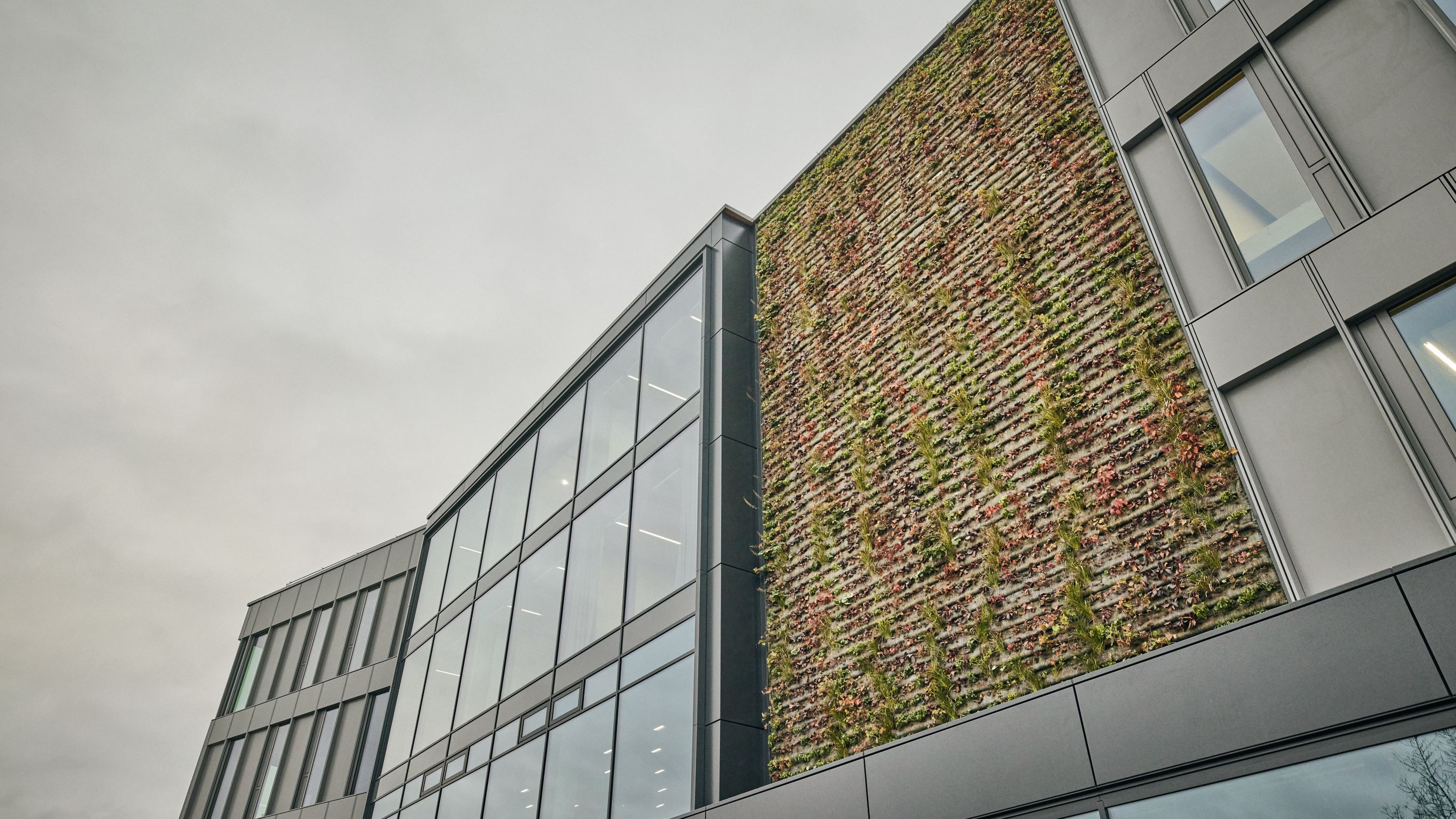  Grünfassade des Bürogebäudes Obere Waldplätze