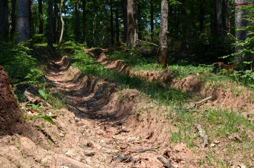 Tiefe Fahrspuren durch Befahrung bei zu feuchten Bodenbedingungen im Wald