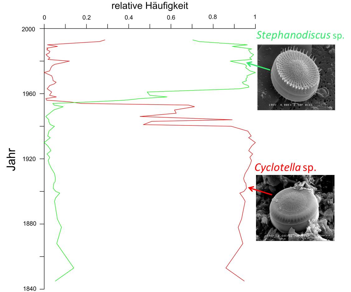 Das Bild zeigt eine Grafik mit der relativen Häufigkeit von Kieselalgen in den Jahren 1840 - 2000.