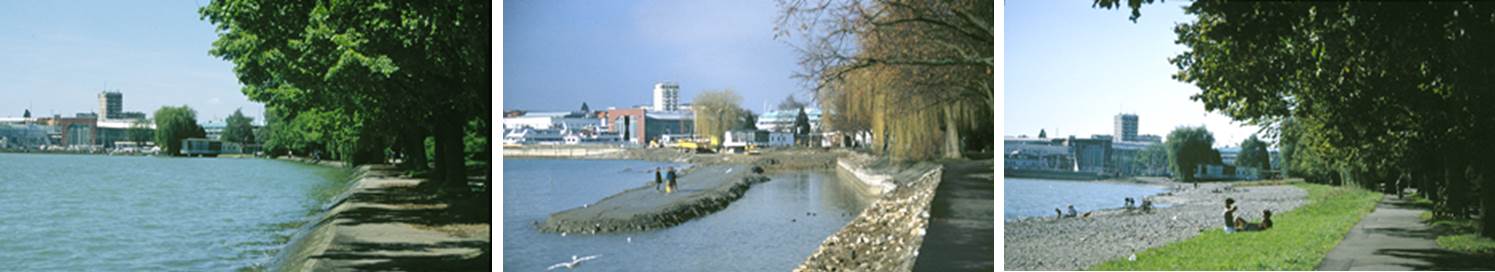 Drei Fotografien des Bodenseeufer bei Friedrichshafen: links: betoniertes Ufer vor der Renaturierung; Mitte: während der Renaturierung; rechts: renaturiertes Ufer mit Grünstreifen