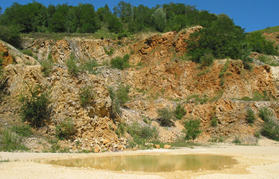 Typischer Lebensraum der Gelbbauchunke (Bild: M. Waitzmann)