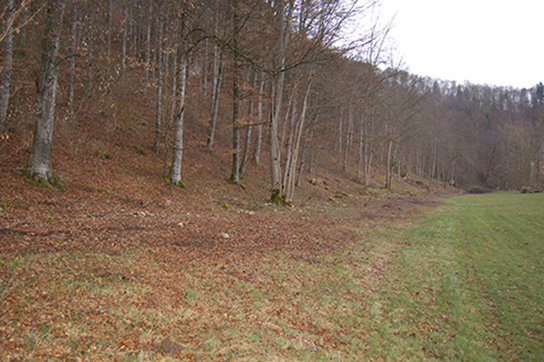 Habitat des Schwarzen Apollofalters (S. Hafner)