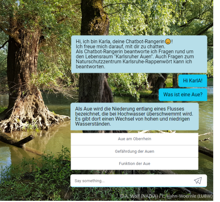 Screenshot des Chatbot KarlA