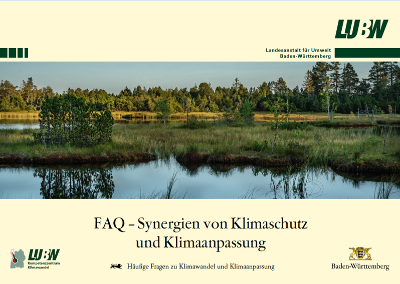 Titelbild der Veröffentlichung FAQ Synergien
