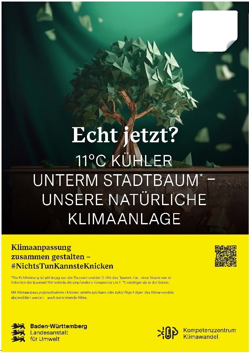 Plakat aus der Echt-Jetzt? Plakatreihe