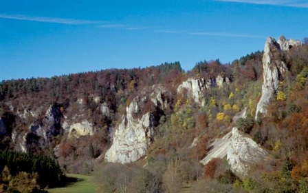 LRT 8210 Kalkfelsen mit_Felsspaltenvegetation, NSG Stiegelesfels