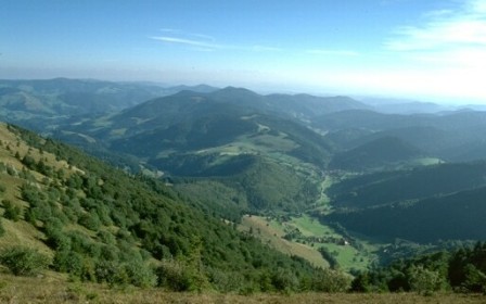 NSG Belchen im Vogelschutzgebiet Südschwarzwald