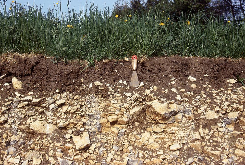 Rendzina im Oberen Muschelkalk, Baugrube bei Wutach-Münchingen