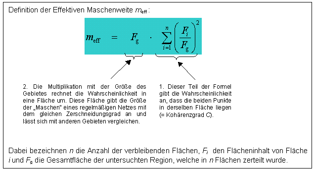 Definition der Effektiven Maschenweite in Form einer Formel sowie dazugehörigen Erläuterungen