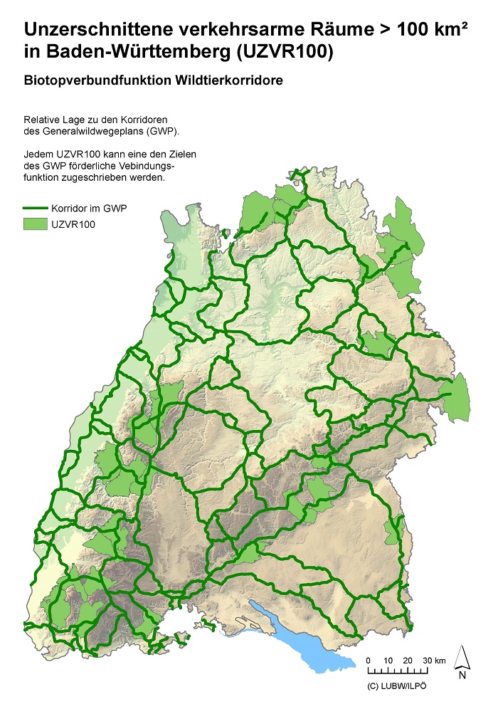 Karte von Baden-Württemberg: Biotopverbundfunktion Wildtierkorridore in den Arealen der Unzerschnittenen verkehrsarmen Räume in Baden-Württemberg mit einer Flächengröße über 100 Quadratkilometer (UZVR100)