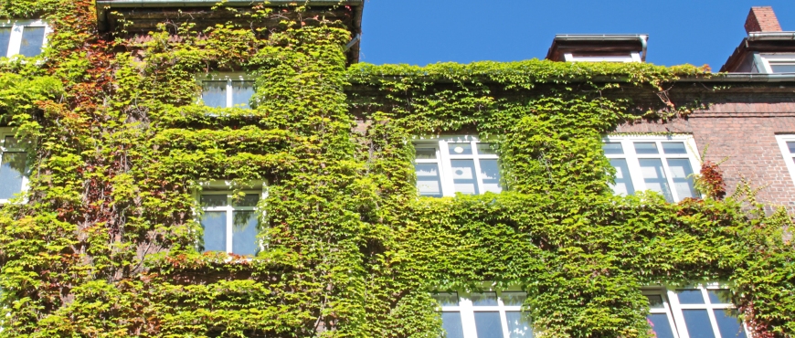  Begrünte Fassade