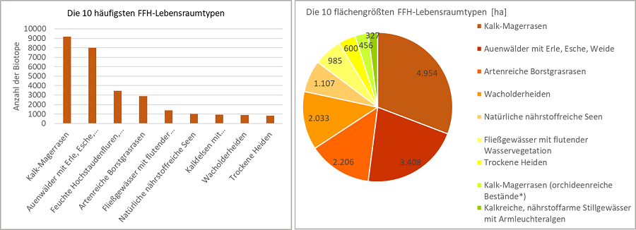 Zwei Diagramme zu den FFH-Lebensraumtypen, links: Balkendiagramm zu den häufigsten kartierten FFH-Lebensraumtypen, rechts: Kreisdiagramm mit den FFH-Lebensraumtypen, die die größte Fläche einnehmen