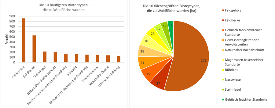 Zwei Diagramme, links: Balkendiagramm zu den 10 häufigsten Biotoptypen, die mittlerweile im Wald liegen; rechts: Kreisdiagramm zu den 10 flächengrößten Biotoptypen, die mittlerweile im Wald liegen