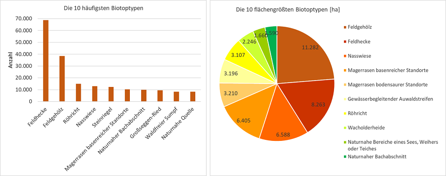 Zwei Diagramme, links: Balkendiagramm zu den 10 häufigsten Biotoptypen; rechts: Kreisdiagramm zu den 10 flächengrößten Biotoptypen