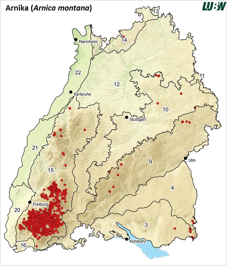 Verbreitung Arnika montana