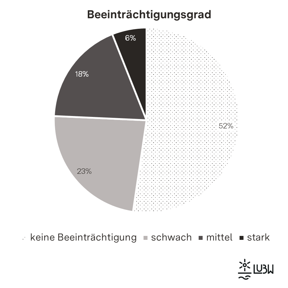 Kreisdiagramm zum Beeinträchtigungsgrad