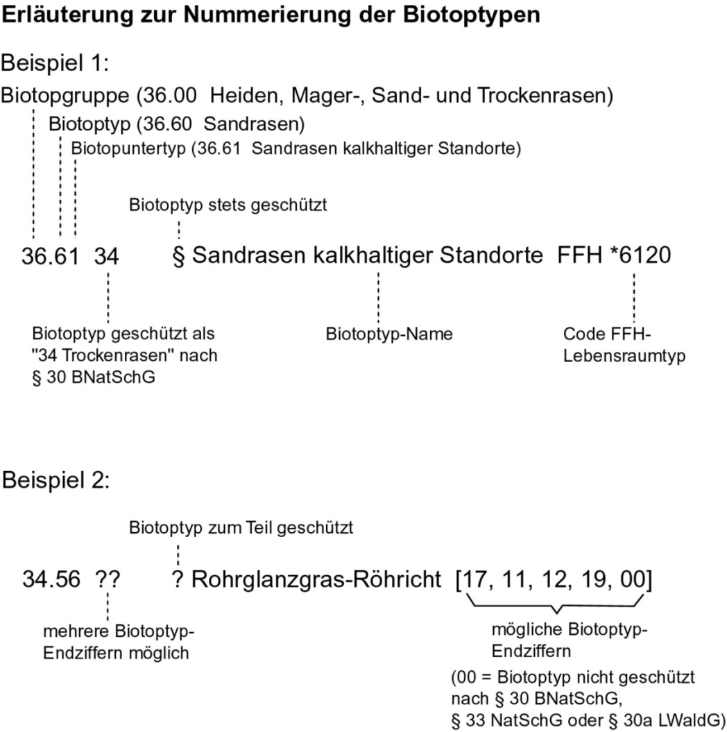  Abbildung zur Erläuterung der Nummerierung der Biotoptypen