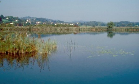 Bodenseeufer