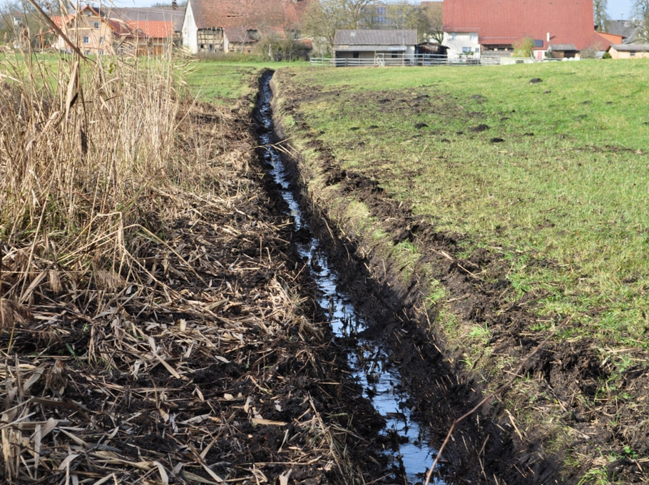 Wasserstandsabsenkungen im Zuge von landwirtschaftlicher Nutzung gefährden Moorböden