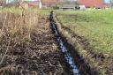 Für Grünlandnutzung werden Moore i. R. entwässert - Das Ruhestetter Moor