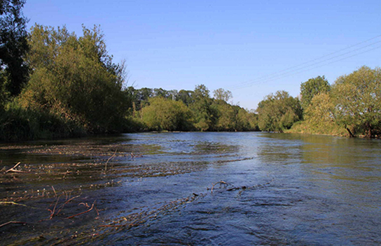 Grüne Flussjungfer (Bild: B. Kunz)