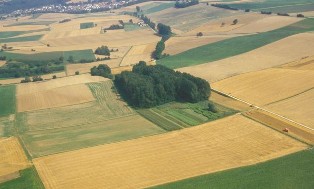 Landwirtschaft