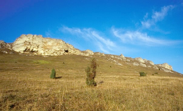 Wacholderheide (NSG Tonnenberg, Käsbühl, Karkstein) Wacholderheide (NSG Tonnenberg, Käsbühl, Karkstein)