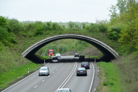 Grünbrücke an der B464 bei Böblingen (M. Strein)