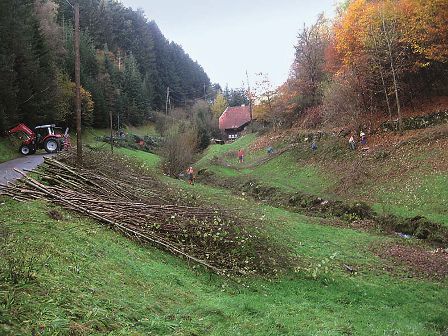 Gehölzpflege (A.-M. Jarry)