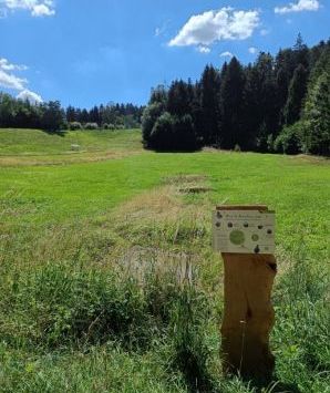 Anlage eines Tümpels im Rahmen des Biotopverbundes. Tümpel sind wichtige Lebensräume für zahlreiche Tier- und Pflanzenarten wie Amphibien und Libellen. 