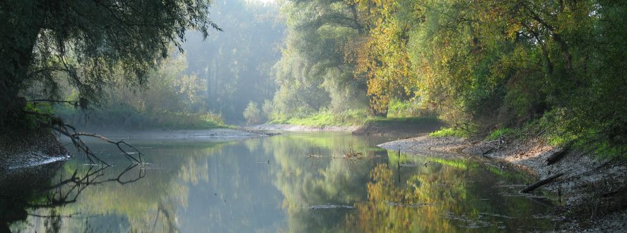  Auenbereiche erfüllen bedeutsame Funktionen im Naturhaushalt. Sie bieten Lebensraum für zahlreichen Arten, regeln den Wasser- und Stoffhaushalt und wirken sich positiv auf den Hochwasserschutz aus.