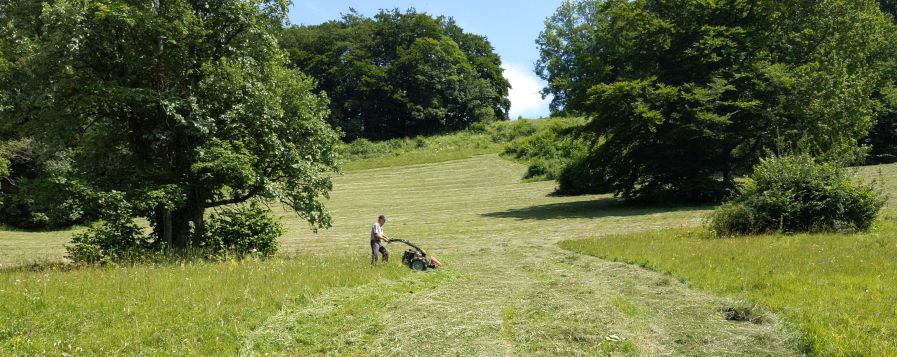  Landschaftspflegemaßnahme mit Balkenmäher. Balkenmäher eignen sich besonders zur Biotoppflege, da nasses sowie sehr hohes Gras geschnitten werden kann und auch Tiere ausreichend Zeit haben vor den Schneidefingern zu fliehen. 