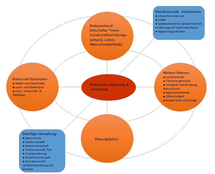 Informationsfluss, Unterstützung und Beteiligung zwischen den Akteurinnen und Akteuren der (kommunalen) Biotopverbundplanung und -umsetzung