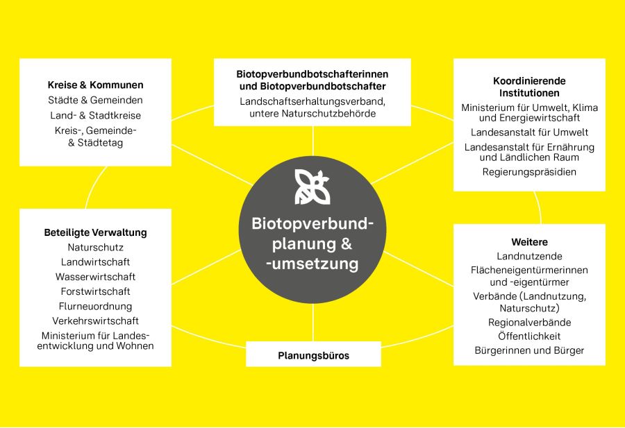 Informationsfluss, Unterstützung und Beteiligung zwischen den Akteurinnen und Akteuren der (kommunalen) Biotopverbundplanung und -umsetzung Informationsfluss, Unterstützung und Beteiligung zwischen den Akteurinnen und Akteuren der (kommunalen) Biotopverbundplanung und -umsetzung