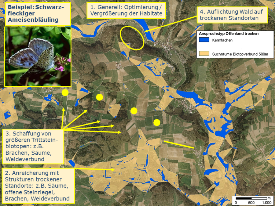 Grafische Maßnahmendarstellung für den Biotopverbund am Beispiel des Schwarzfleckigen Ameisenbläulings