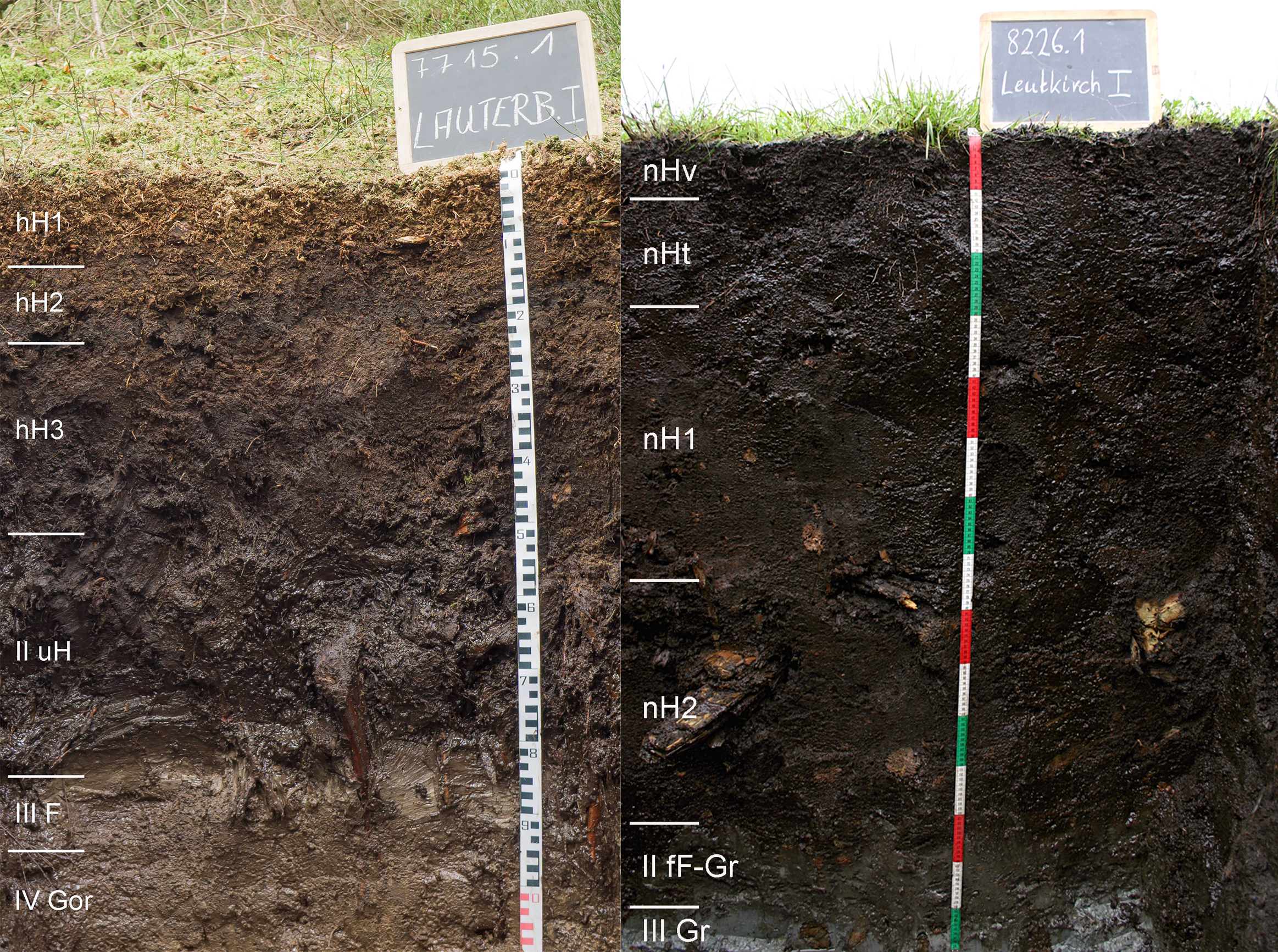 Bild links: Profil eines naturnahen Hangmoors unterhalb des Mooswaldkopfs bei Lauterbach-Fohrenbühl. Bild rechts: Profil eines vererdeten Niedermoors. Vererdung bedeutet Degeneration des natürlichen Torfes.