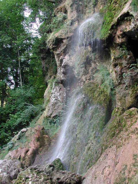 LRT 7220 Kalktuffquelle im NSG Rutschen (Uracher Wasserfall)