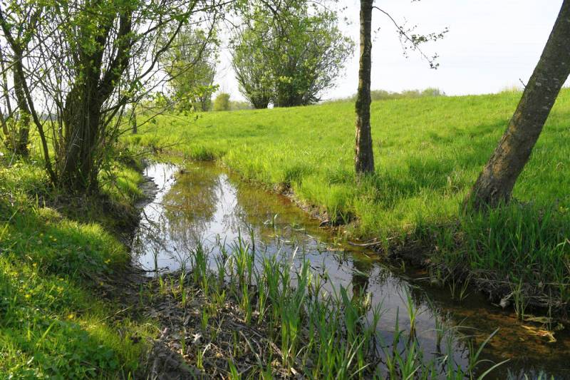 Abwechslungsreiche Uferstruktur