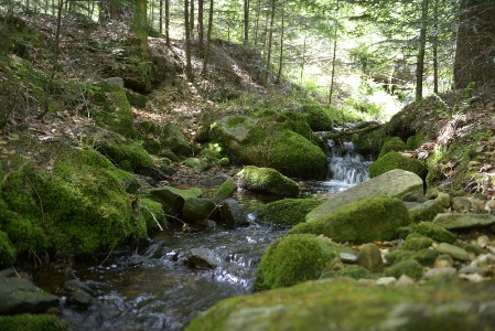 Silikatischer Mittelgebirgsbach